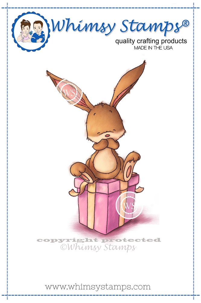 bunny with present color display