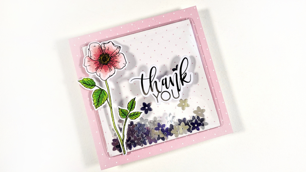 Infinity Shaker cards Waffle Flower shaker covers ClipsnCuts