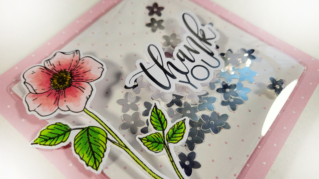 Infinity Shaker cards Waffle Flower shaker covers ClipsnCuts